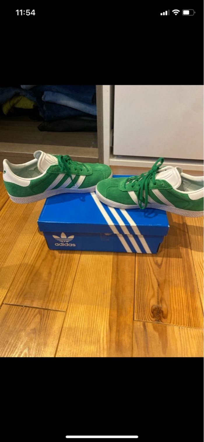 Gazelle - photo numéro 4