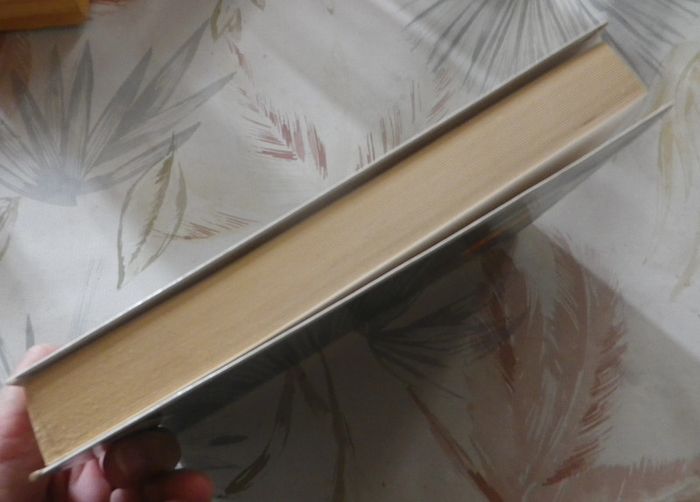 Un si grand amour de Danielle Steel - photo numéro 4