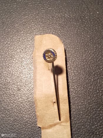 Ancienne Épingle pour veste du président Rotary