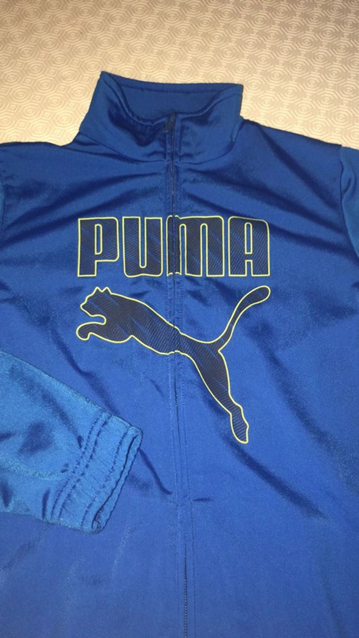 Veste puma - photo numéro 2