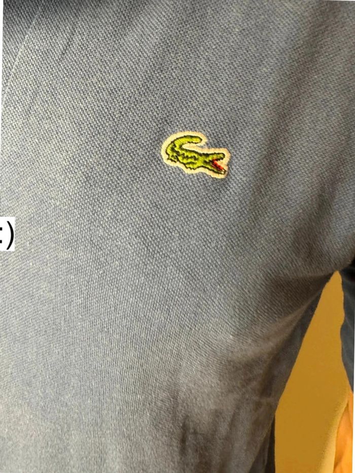 Polo Lacoste bleu homme taille M - photo numéro 5