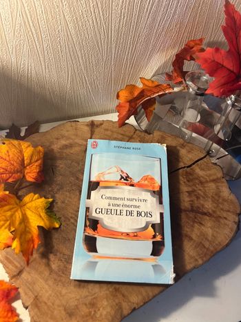 Livre comment survivre à une gueule de bois