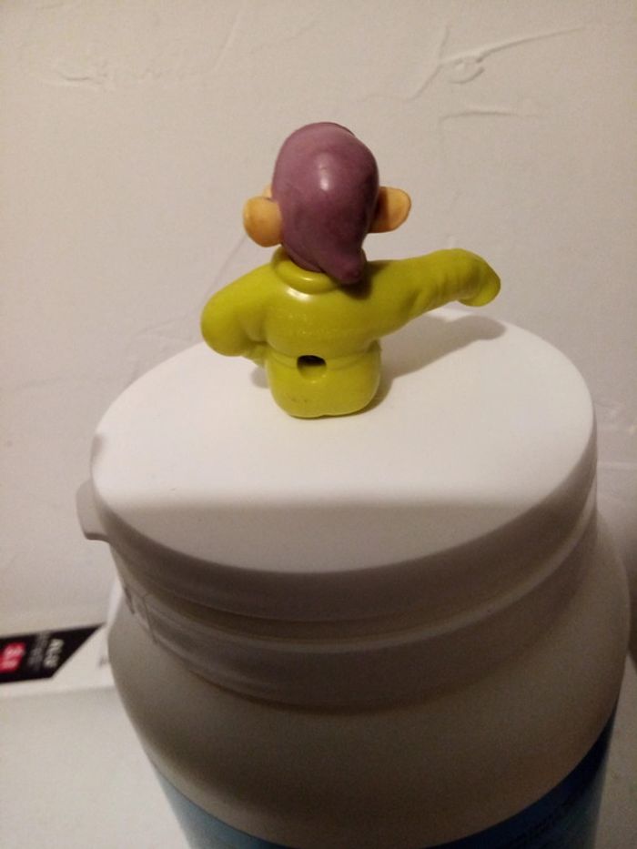 Nain simplet - photo numéro 2