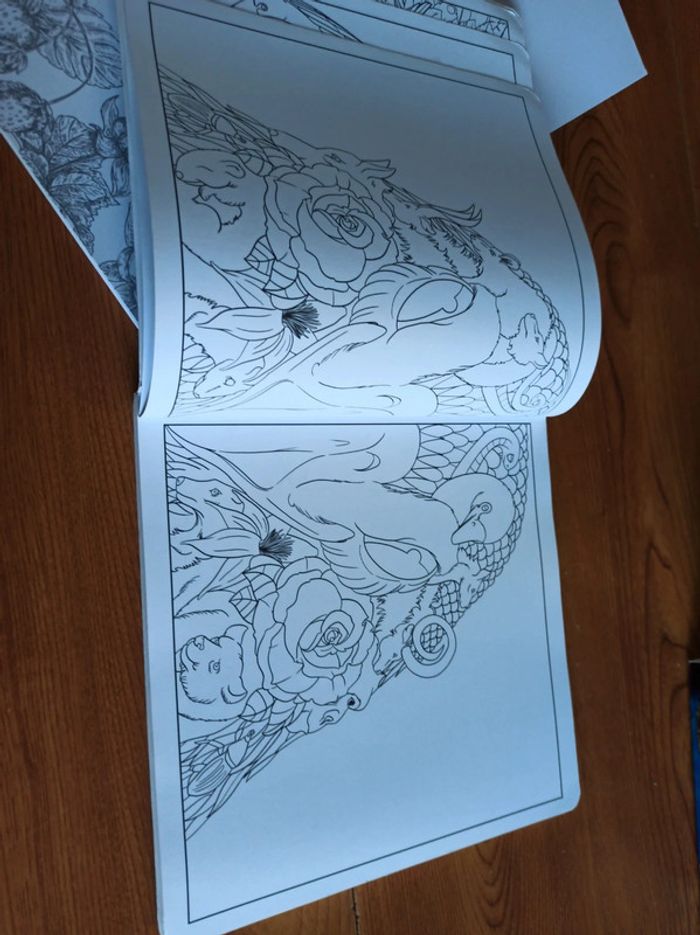 Coloriages 3 livres - photo numéro 7