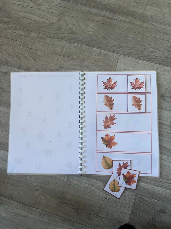 Livret automne - photo numéro 3