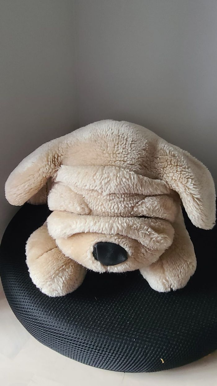 peluche chien - photo numéro 3