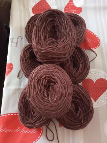 Lot de 8 Pelotes Tons Marrons (560g)