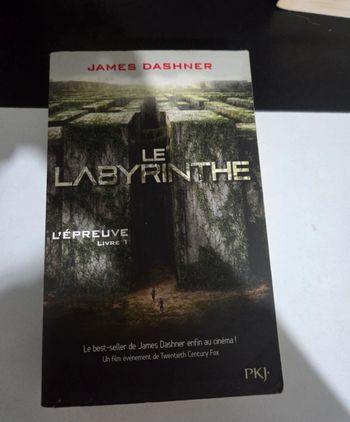 Le labyrinthe tome 1