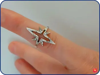 Bague en acier inoxydable