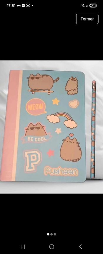 Cahier Pusheen + crayon