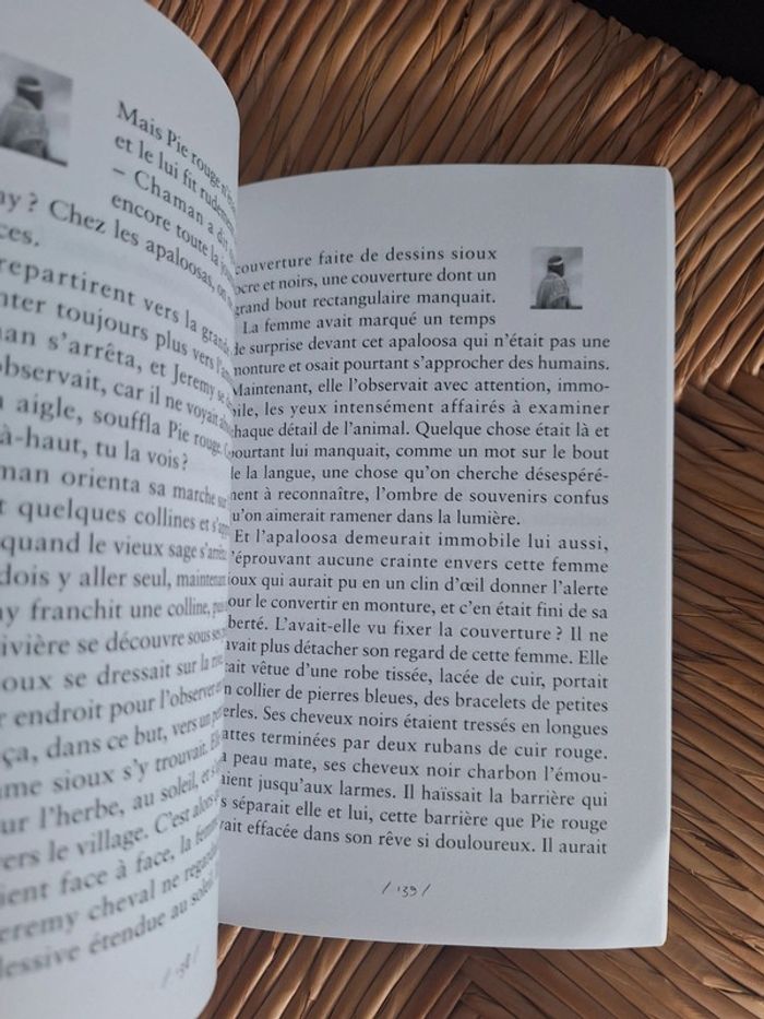 Livre Jérémy cheval - photo numéro 4