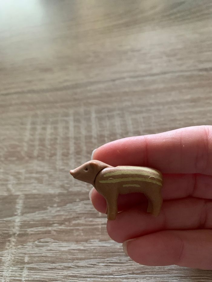 Chien , chats , mouton, marcassin et clapier Playmobil - photo numéro 9