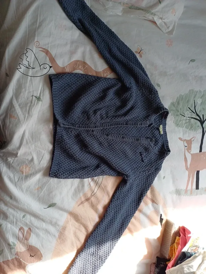 Gilet