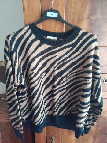 Pull bicolore