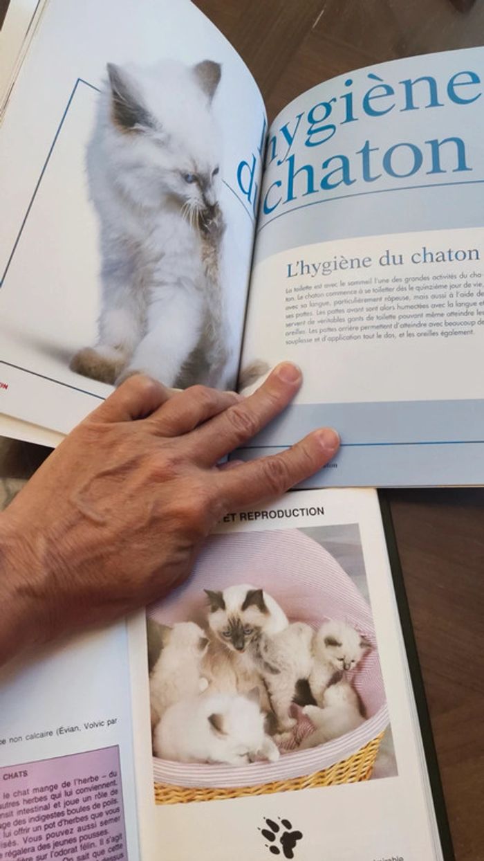 Les chats Guide Vert Solar + Le livre du chaton de Royal canin - photo numéro 8
