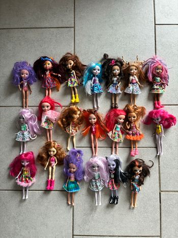 Lot 20 poupées enchantimals