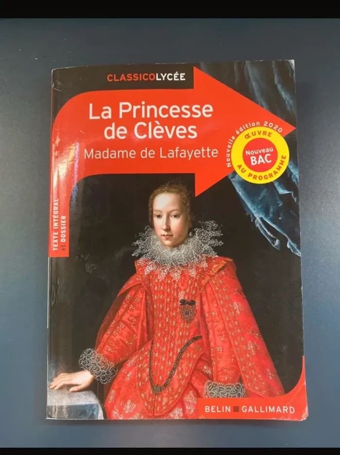 Livre bac de français « la princesse de clèves »