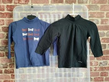 Lot 2 Tee-shirts manche longue 24 mois