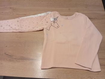 Pull Licorne