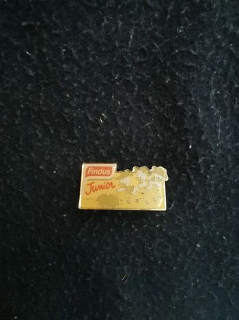 Pins findus / junior