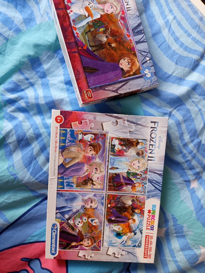 Reine des neiges - photo numéro 9