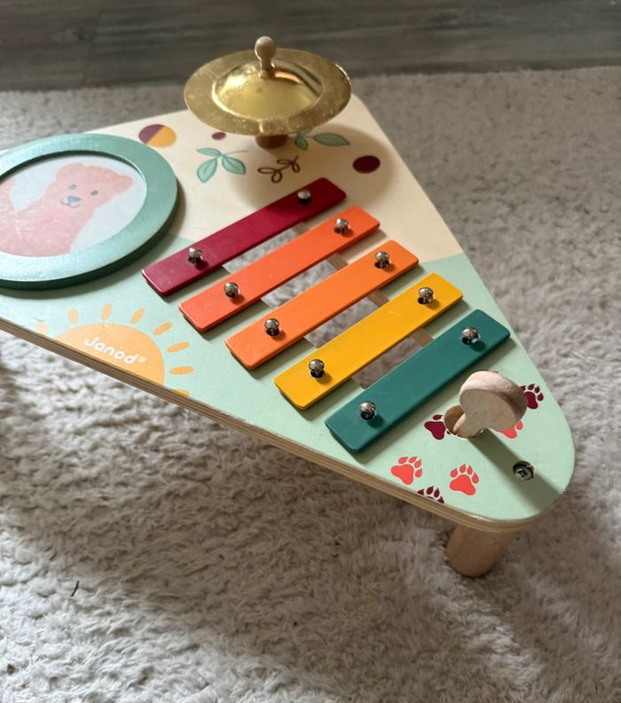 Jouer instrument Janod - photo numéro 3