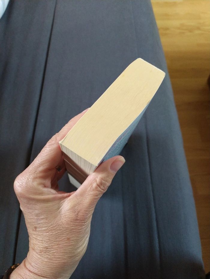 La fiancée de Bombay de Julia Gregson - photo numéro 4