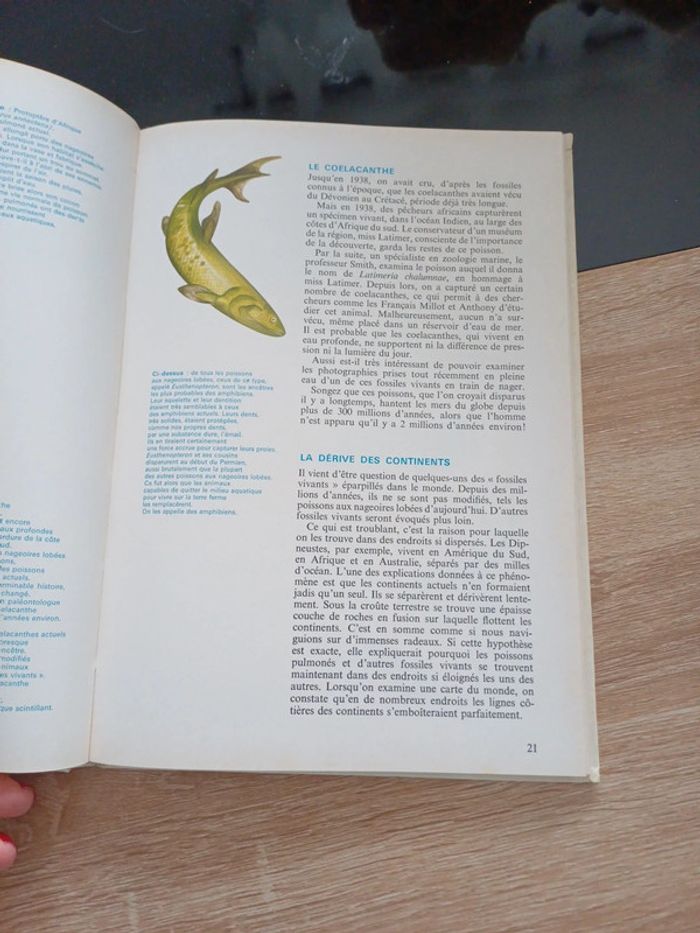 Livre les animaux de la préhistoire - photo numéro 5