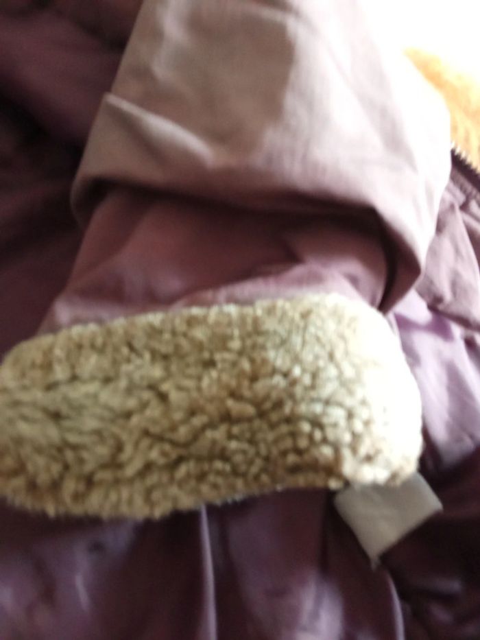 Manteau - photo numéro 4