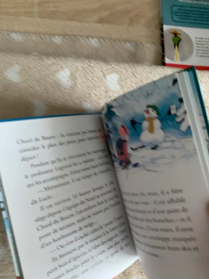 Livre mes enquêtes a l école des détectives jeu de pistes au ski😺 - photo numéro 5