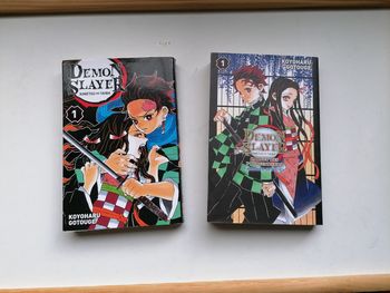 Demon slayer tome 1 + fanbook