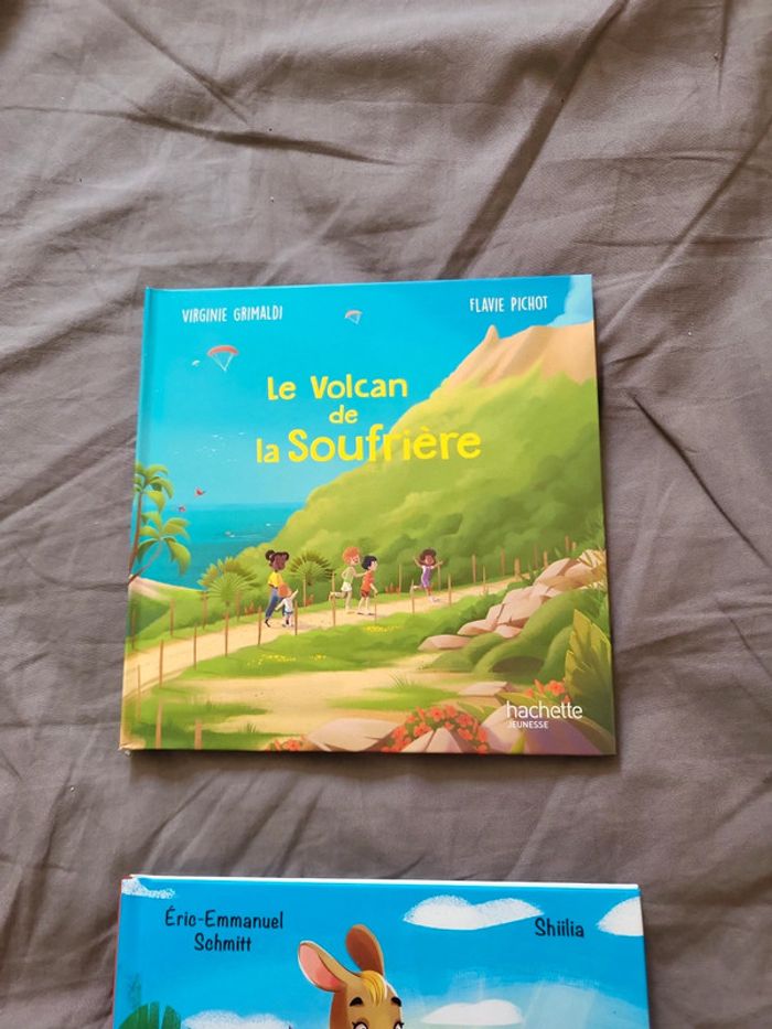 Livres Macdo - photo numéro 2