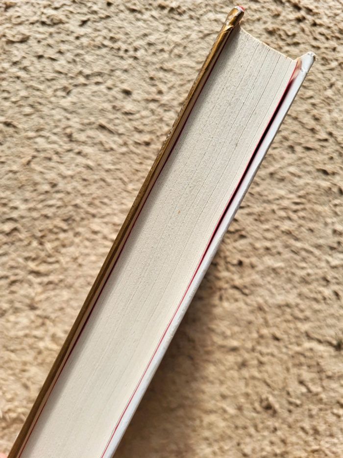 Livre Sous le ciel de Novgorod de Régine Deforges - photo numéro 3