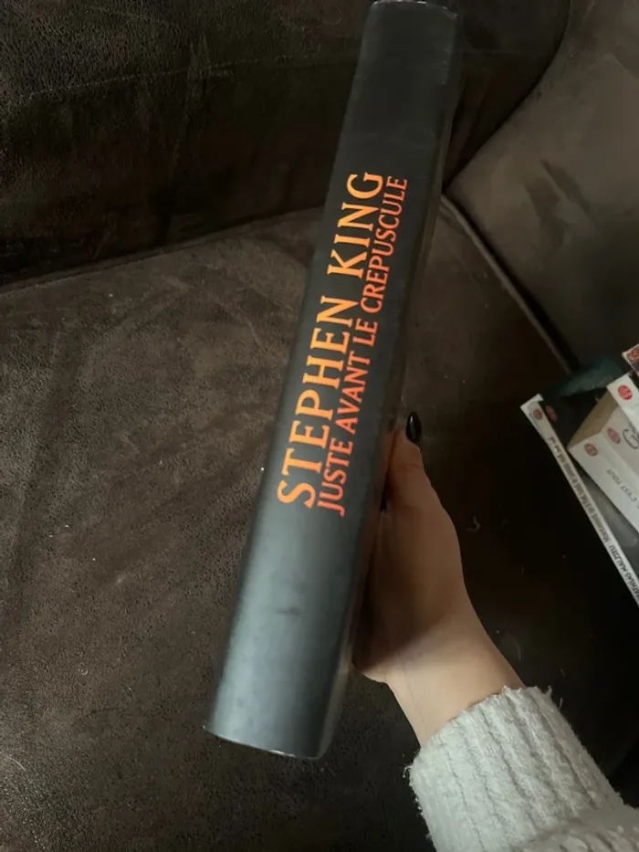 Juste avant le crépuscule Stephen King - photo numéro 2