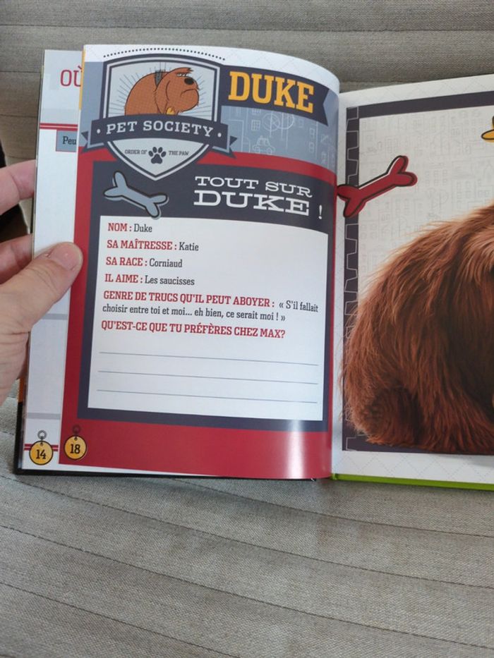 Livre activité enfant Comme des bêtes - photo numéro 3