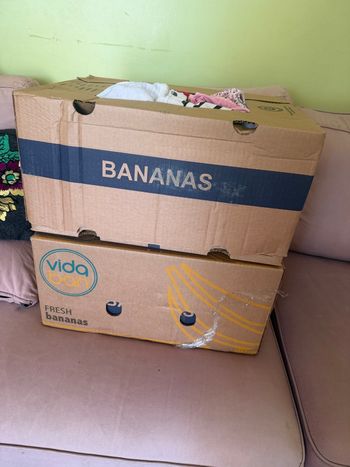 Vêtement 6 mois (fille)