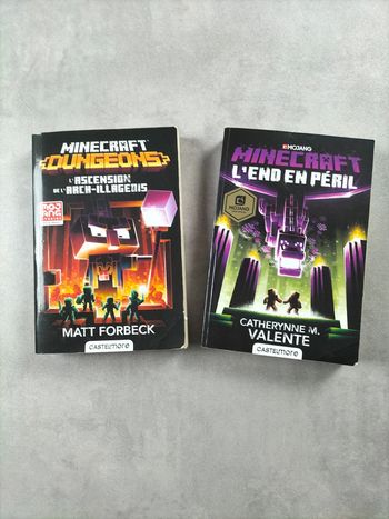 Livres Minecraft – L’Ascension de l’Arch-Illageois & L’End en Péril