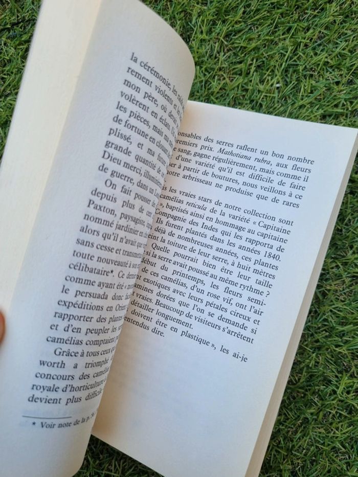 Les humeurs d'une châtelaine anglaise - photo numéro 3