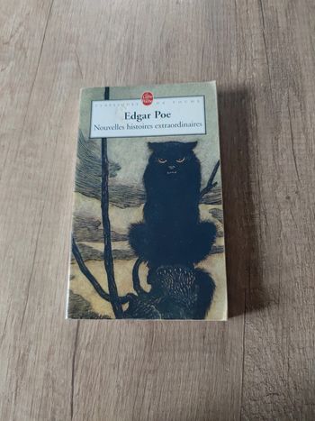 Nouvelles histoires extraordinaires