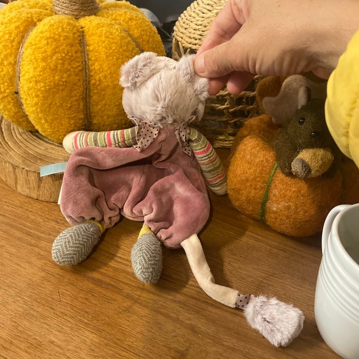 Doudou plat les p achats moulin Roty - photo numéro 2