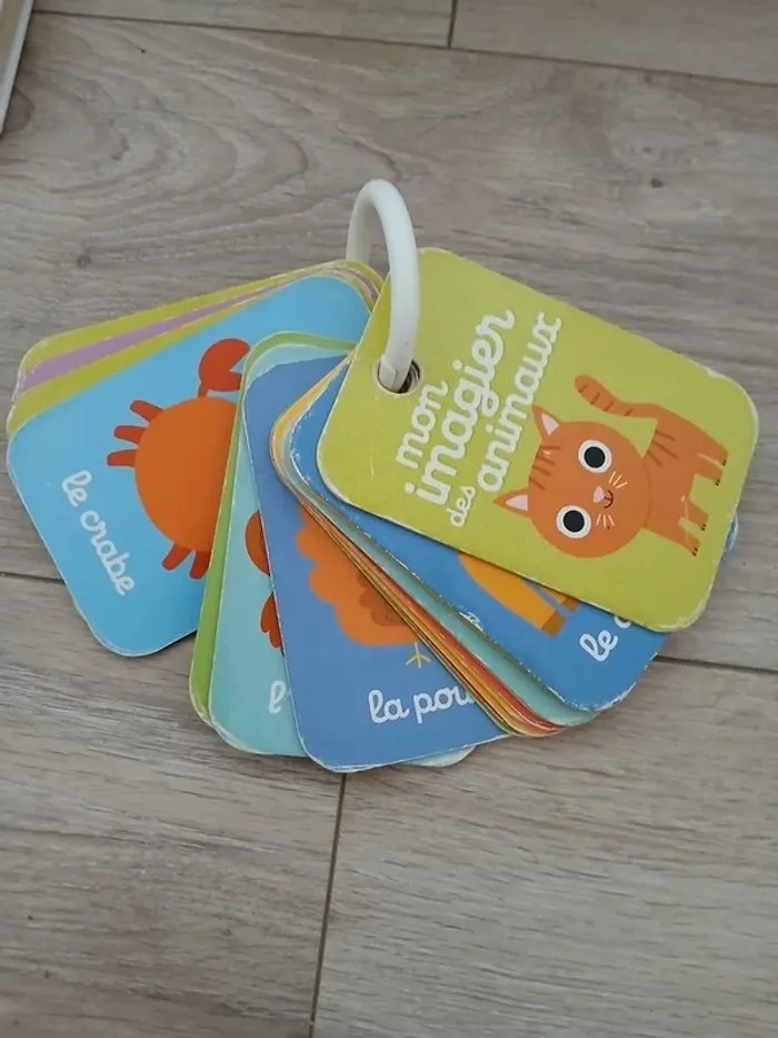 Lot livre premier age - photo numéro 4