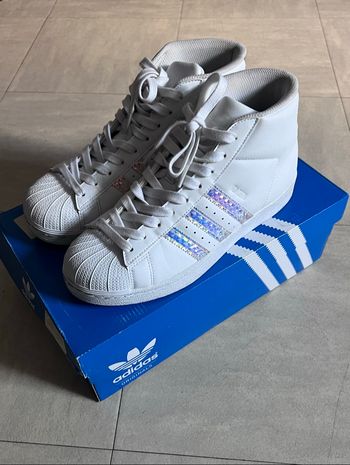 Baskets Adidas Superstar montantes