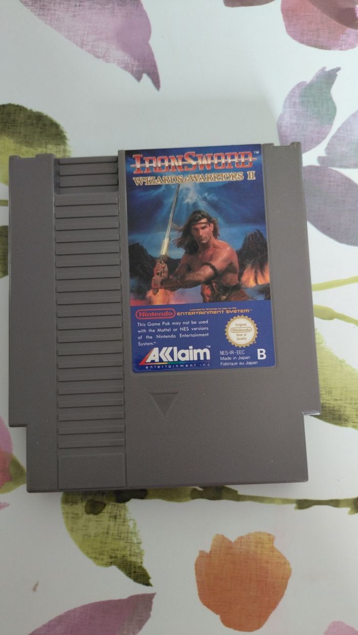 Iron Sword Wizards Warriors II - photo numéro 5