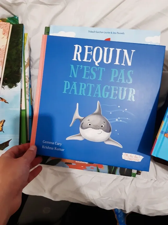 Immense lot de livres jeunesse - photo numéro 16