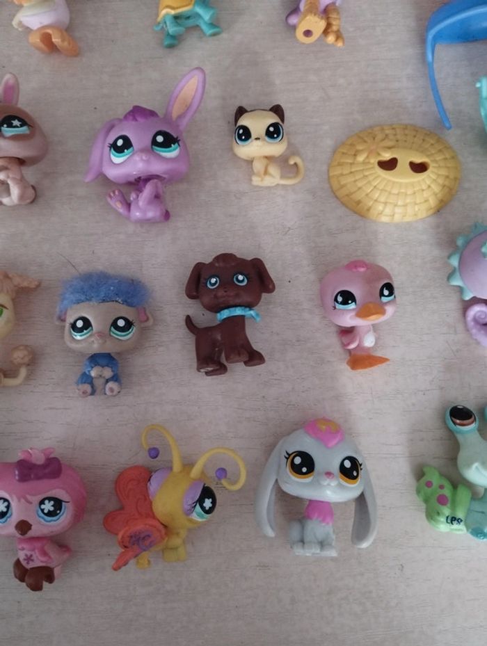 Lot de pet shop - photo numéro 6