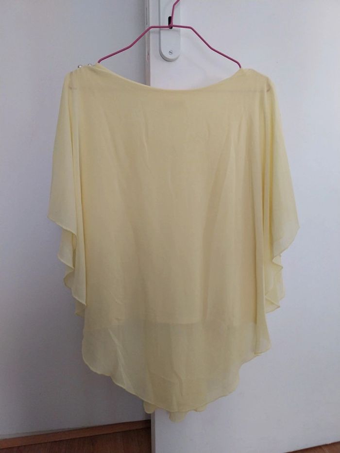 haut chauve souris - photo numéro 2