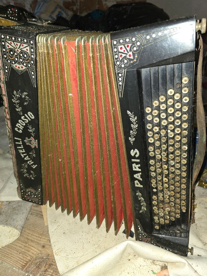 Accordéon - photo numéro 2