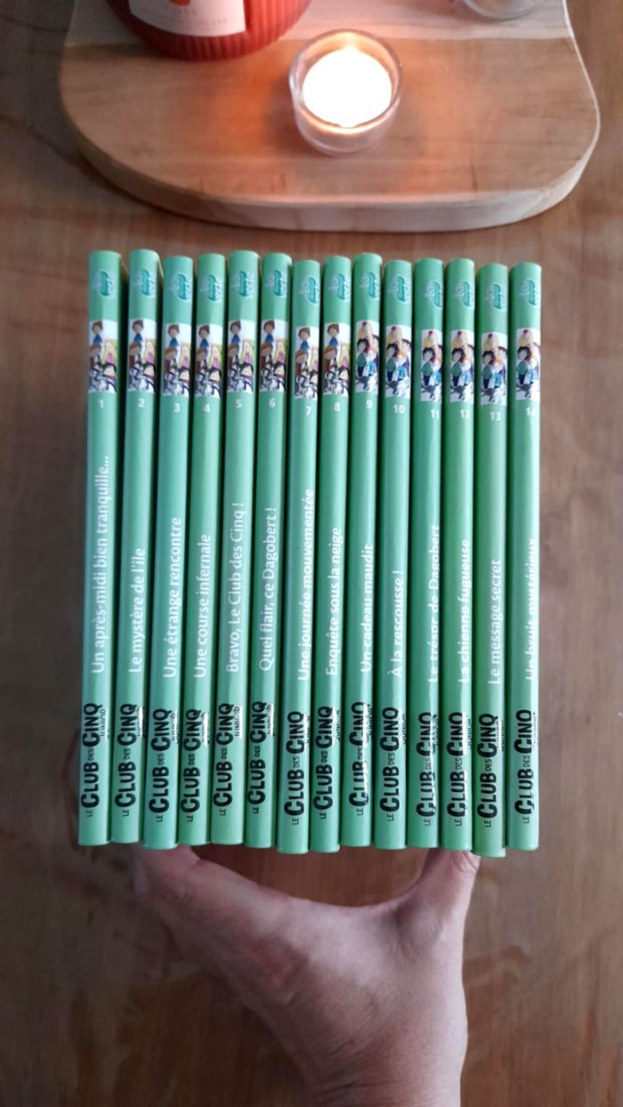 📚 Lot 14 livres Le club des 5 junior - photo numéro 2