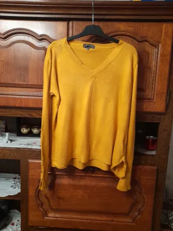 Pull à col V