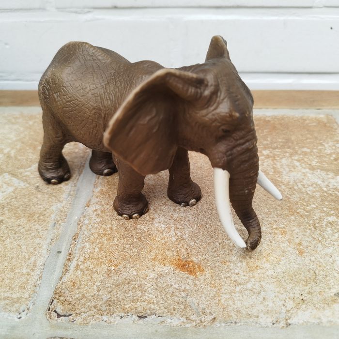 Éléphant d'Afrique mâle - photo numéro 2